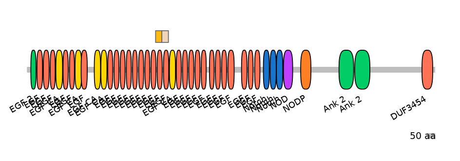 DreINT0105443-EXC