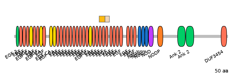 DreINT0105447-EXC
