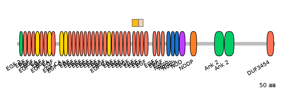 DreINT0105450-EXC