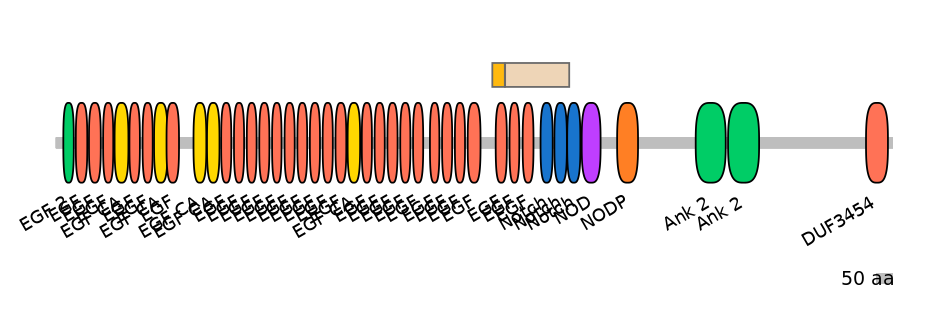DreINT0105453-EXC