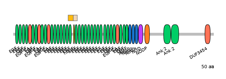 DreINT0105474-EXC