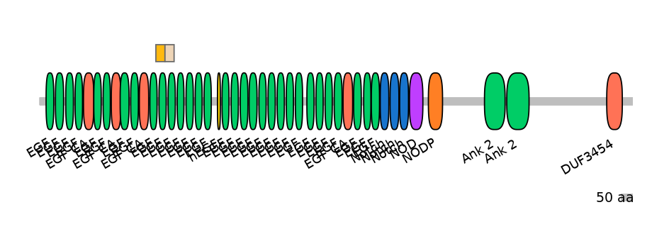 DreINT0105502-EXC