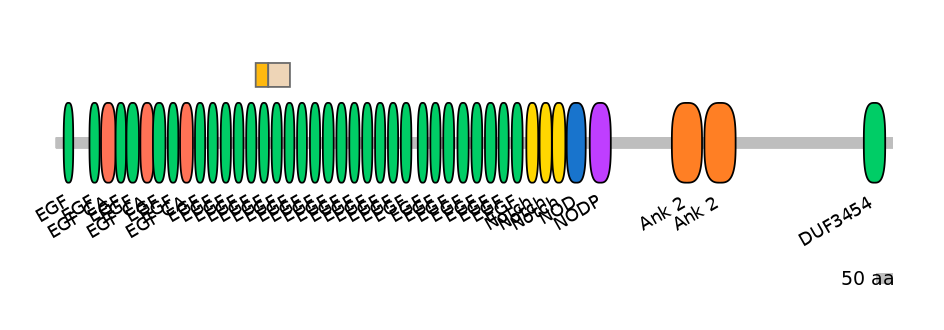 DreINT0105506-EXC