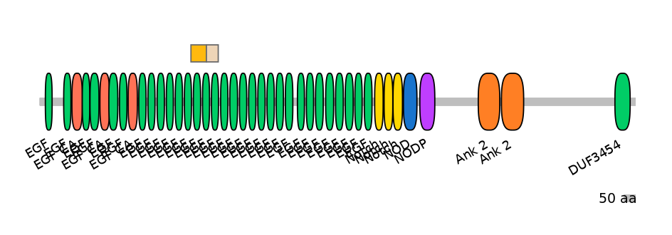 DreINT0105507-EXC