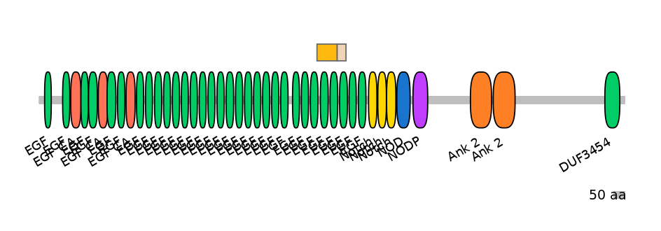 DreINT0105517-EXC