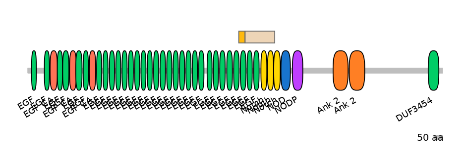DreINT0105518-EXC
