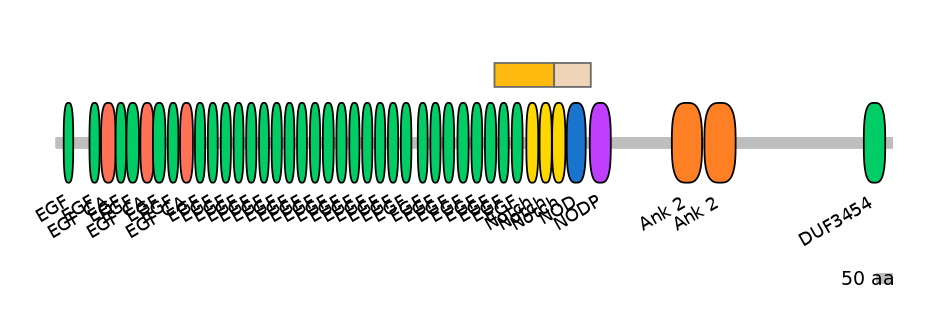 DreINT0105519-EXC