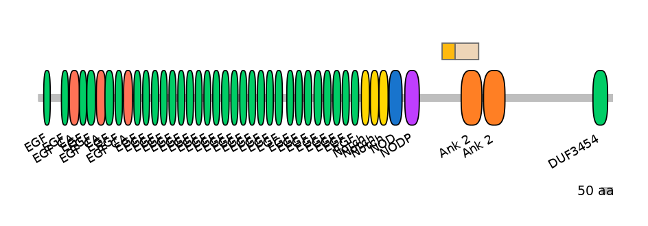 DreINT0105524-EXC