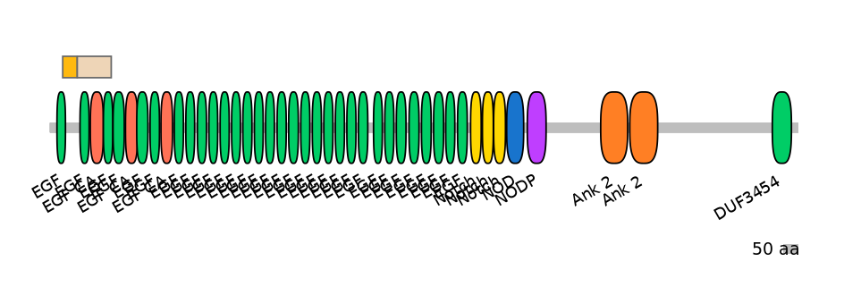DreINT0105525-EXC