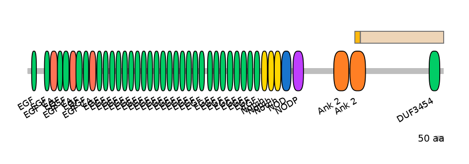 DreINT0105528-EXC