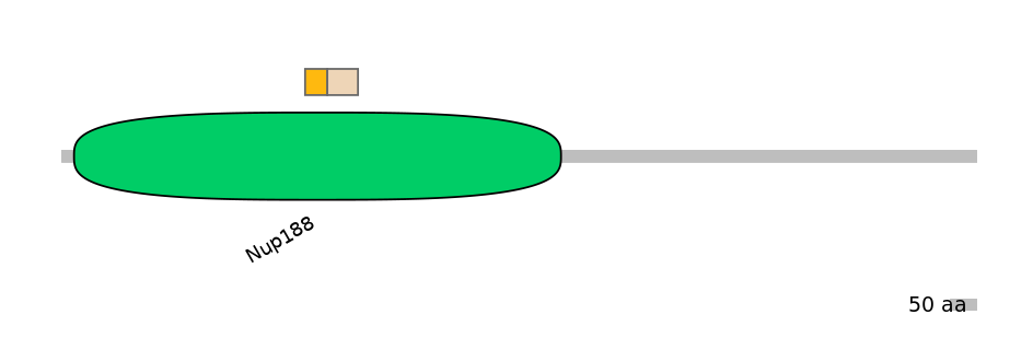 DreINT0107442-EXC