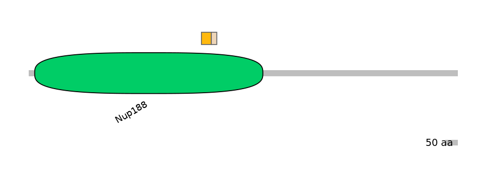 DreINT0107449-EXC