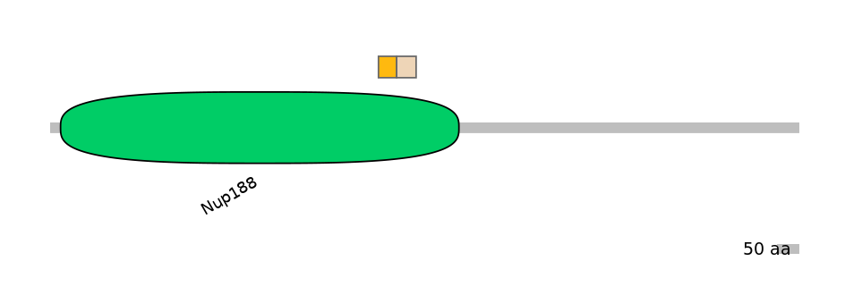 DreINT0107451-EXC