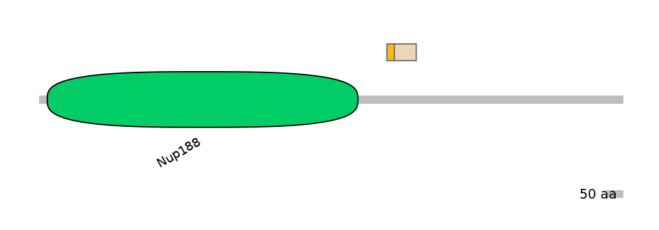 DreINT0107457-EXC