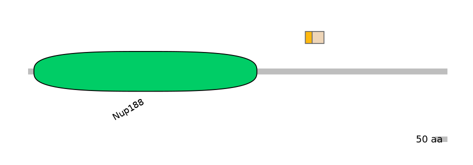 DreINT0107461-EXC
