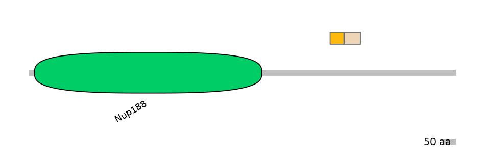 DreINT0107463-EXC