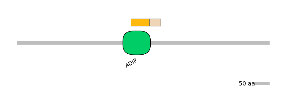 DreINT0108112-EXC