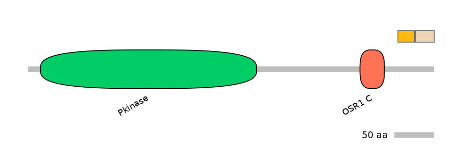 DreINT0109297-EXC