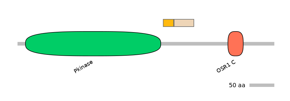 DreINT0109307-EXC