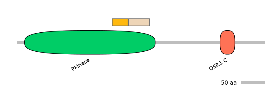 DreINT0109313-EXC
