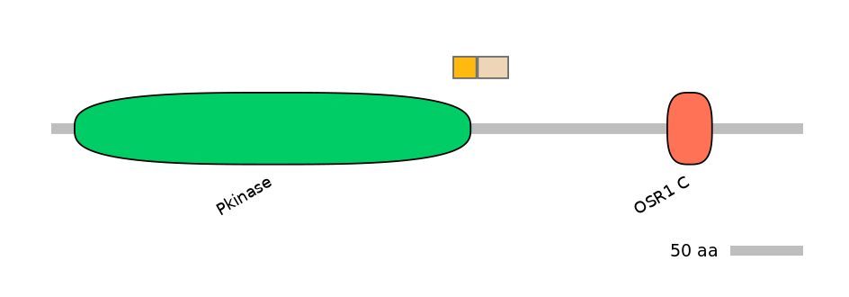 DreINT0109315-EXC