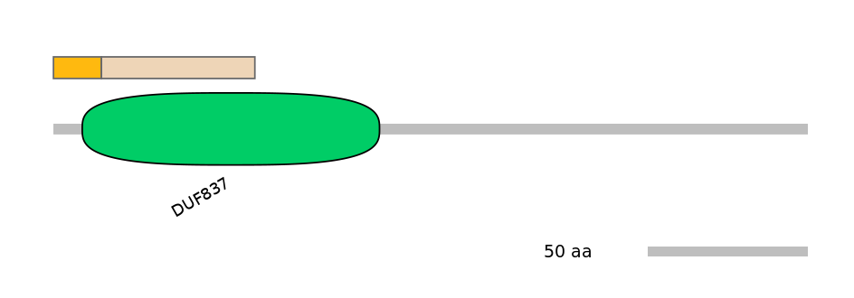 DreINT0111499-EXC