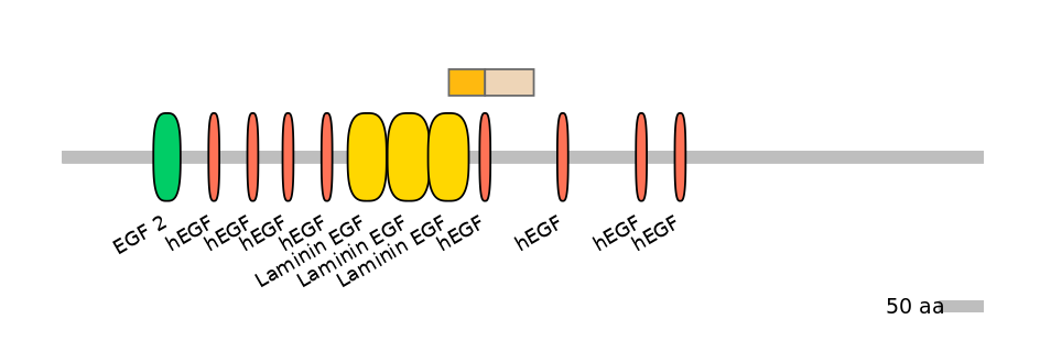 DreINT0112343-EXC