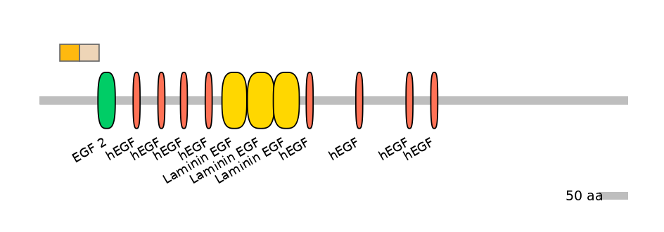 DreINT0112346-EXC