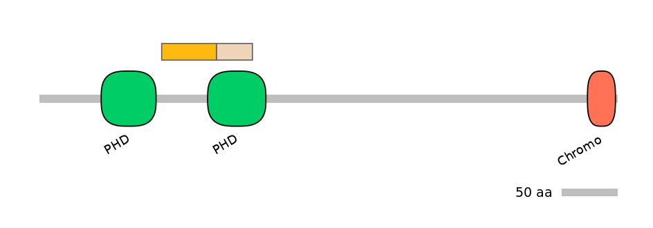 DreINT0113222-EXC