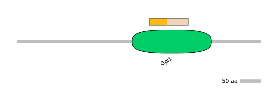 DreINT0114093-EXC