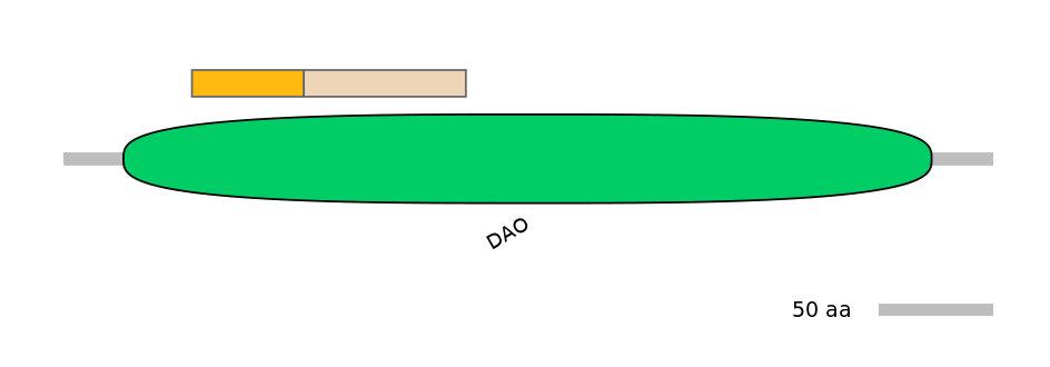 DreINT0114616-EXC