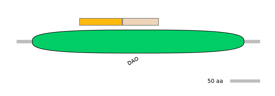 DreINT0114617-EXC