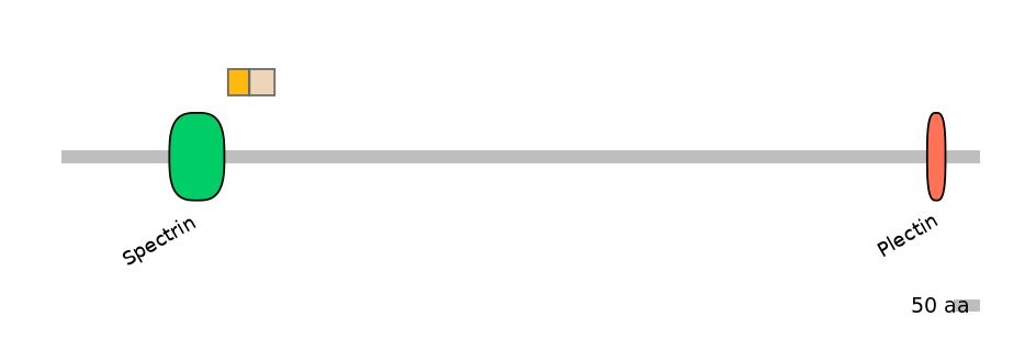 DreINT0118301-EXC
