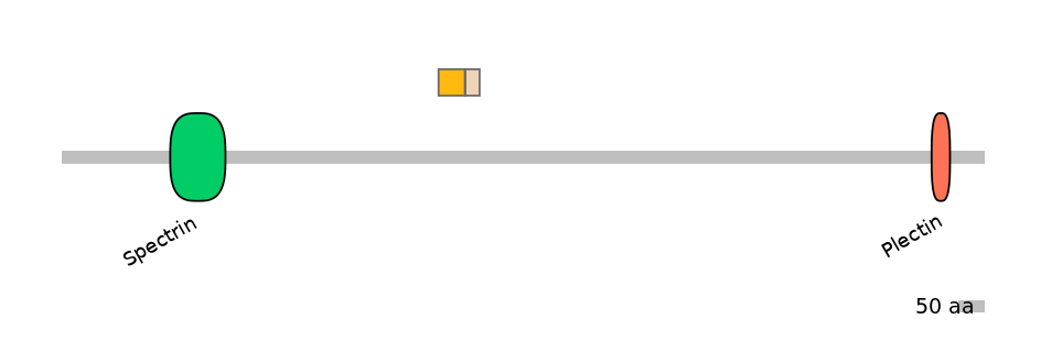 DreINT0118309-EXC