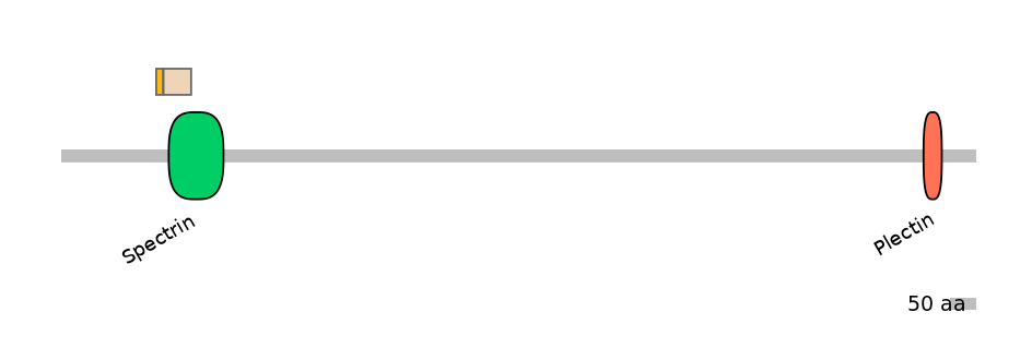 DreINT0118317-EXC