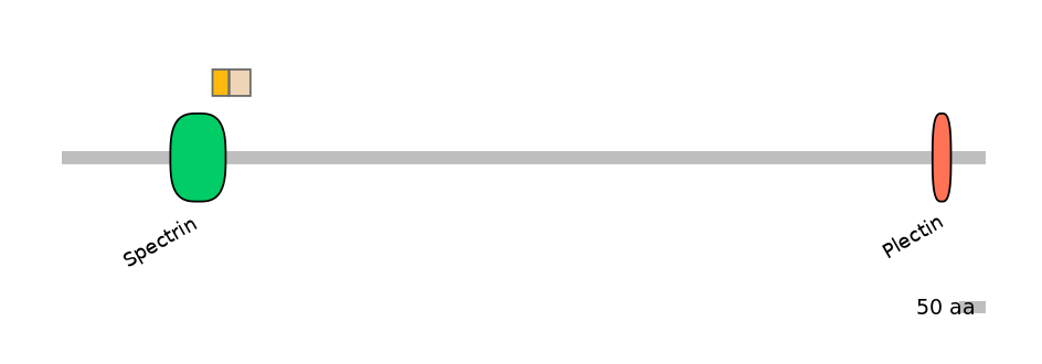 DreINT0118320-EXC
