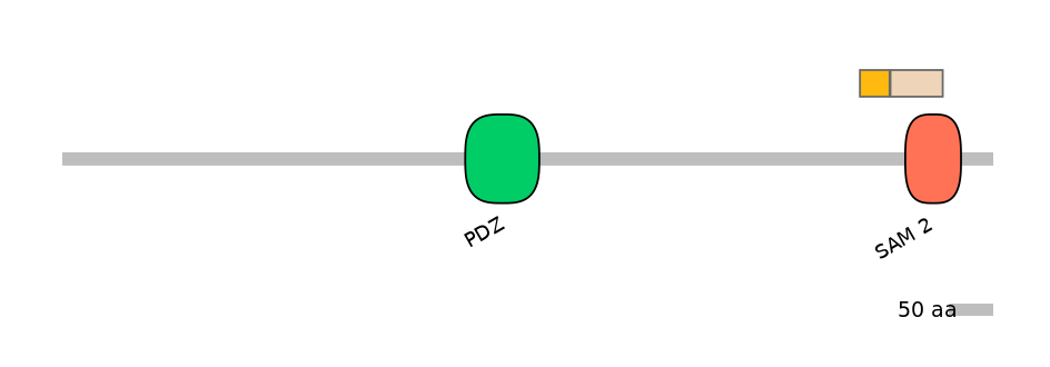 DreINT0118704-EXC