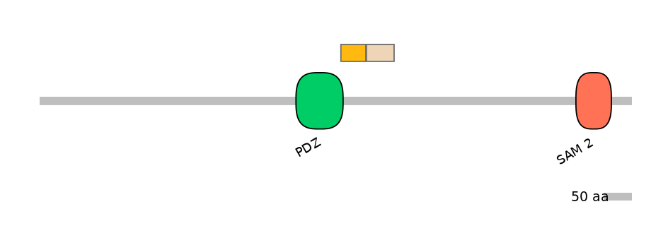 DreINT0118710-EXC
