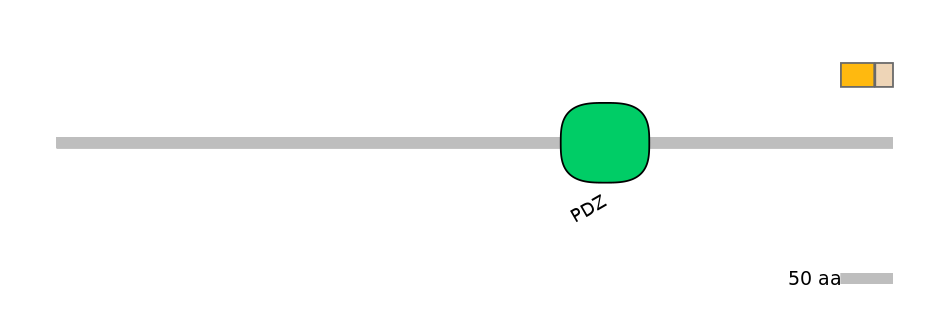 DreINT0118715-EXC