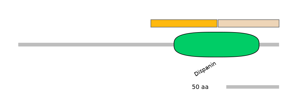 DreINT0120765-EXC