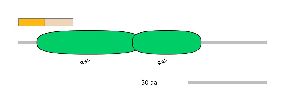 DreINT0123360-EXC