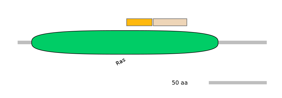 DreINT0123363-EXC