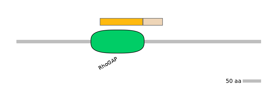 DreINT0124129-EXC