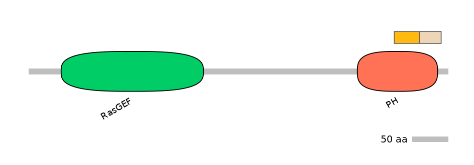 DreINT0124245-EXC