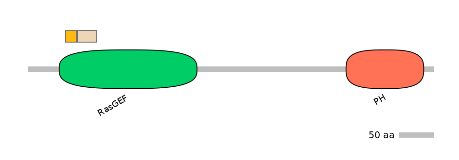 DreINT0124250-EXC