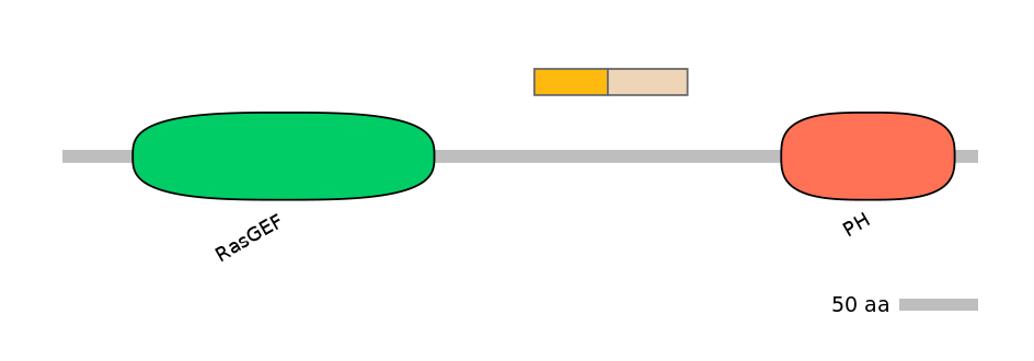 DreINT0124257-EXC