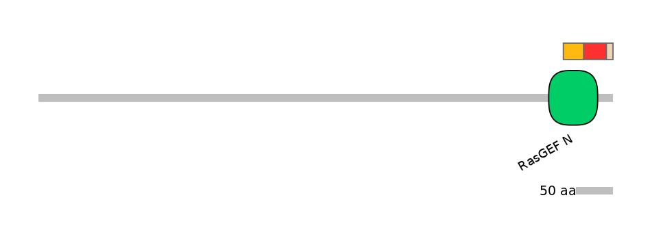 DreINT0124480-INC