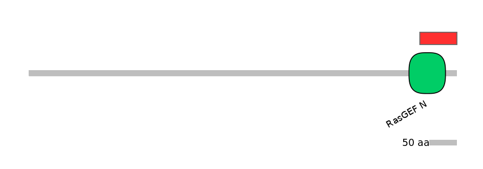 DreINT0124481-INC