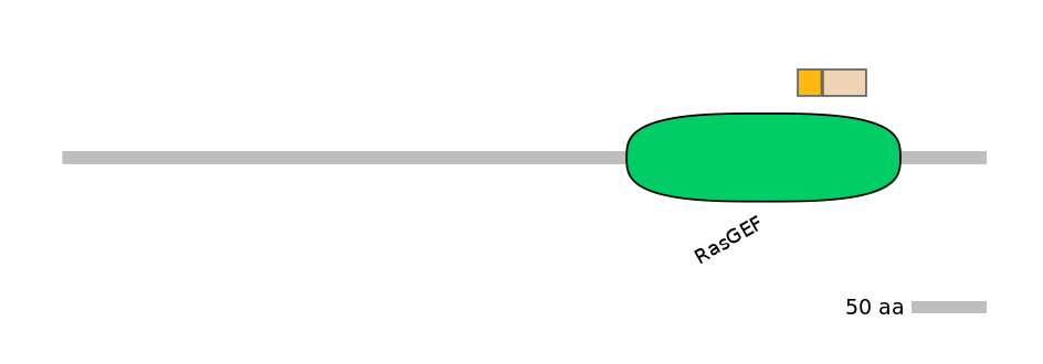 DreINT0124625-EXC