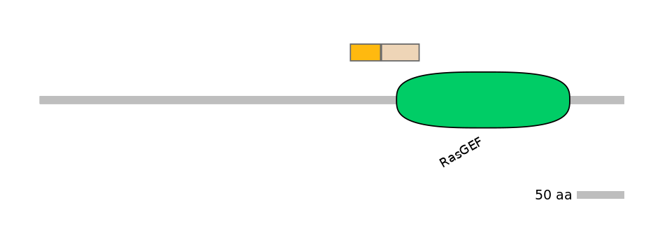 DreINT0124633-EXC